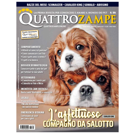 Picture of QUATTROZAMPE - 2023/04 ARRETRATO Italia