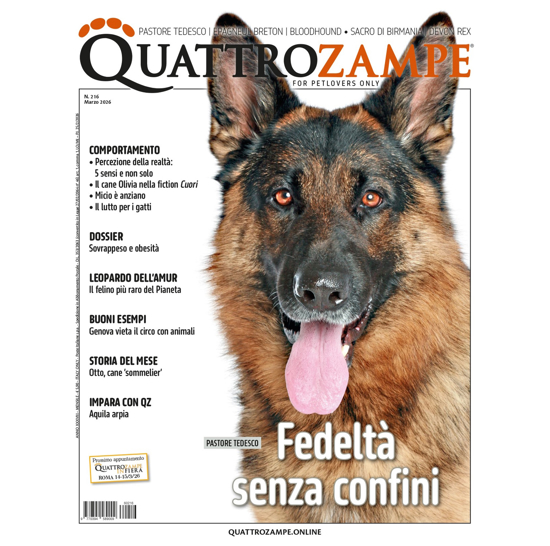 Immagine di QUATTROZAMPE - 2 ANNI ABBONAMENTO Italia
